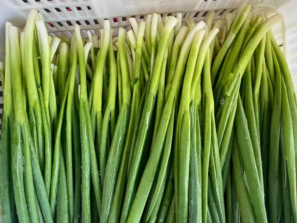 Fresh green onions in a crate