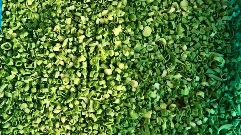 IQF chopped green onion (German onion variety)