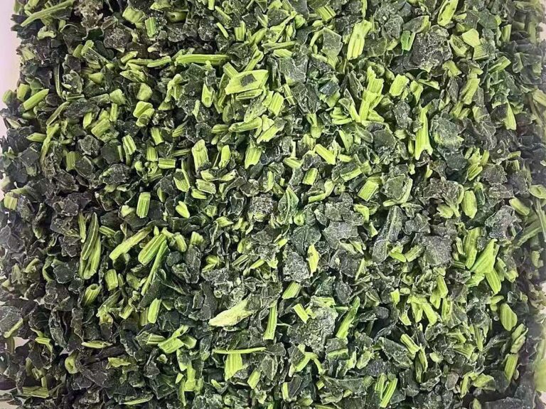IQF chopped spinach