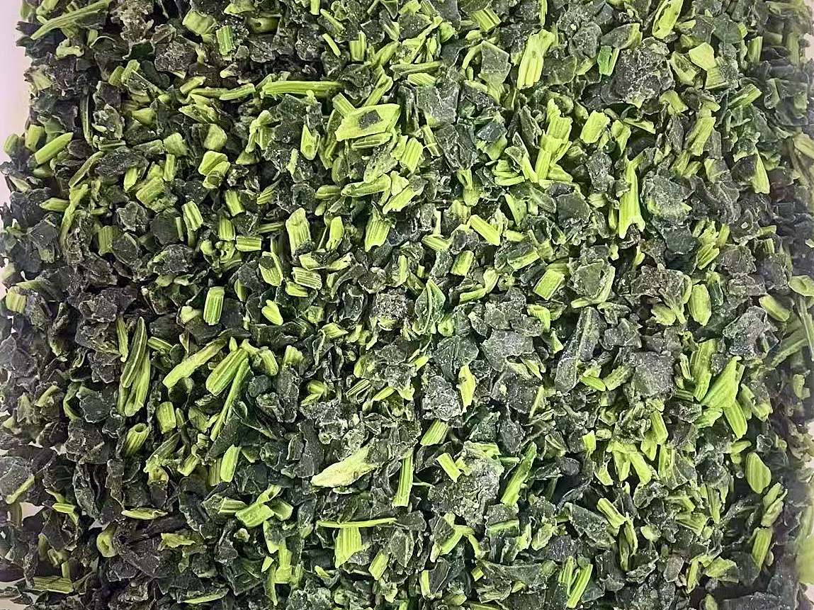 IQF chopped spinach: loose, individually quick frozen dark green spinach pieces