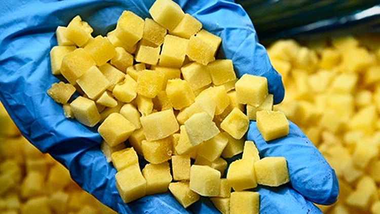 IQF yellow peach dices held in a gloved hand