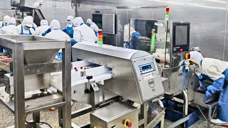 Production line with inspection equipment in Jiale Food workshop