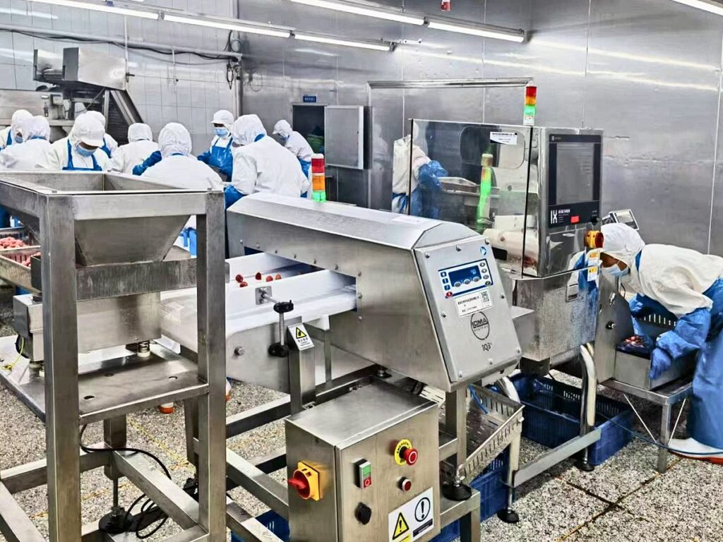Production line with inspection equipment in the Jiale Food workshop