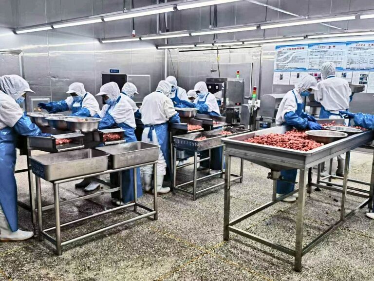 Processing workshop with workers sorting fruit at stainless steel tables